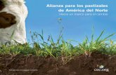 Alianza para los pastizales de América del Norte · Revisión final de las Partes: julio-agosto de 2013 QA12.02 ... biodiversidad en ese ecosistema—, a efecto de analizar las tendencias