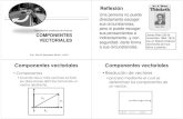 componentes vectoriales bw - WordPress.com · 2011. 1. 19. · COMPONENTES VECTORIALES Para resolver problemas de vectores Prof. Elba M. Sepúlveda, MA.Ed., c.Ed.D. Reflexión Una