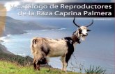 V Catálogo de Reproductores de la Raza Caprina Palmeracabrapalmera.webgescan.com/wp-content/uploads/sites/17/... · 2020. 1. 3. · Ganadería: Brenda Rodríguez Concepción Ficha