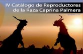 IV Catálogo de Reproductores de la Raza Caprina Palmeracabrapalmera.webgescan.com/wp-content/uploads/sites/17/2019/01… · Ganadería: Brenda Rodríguez Concepción Ficha de la