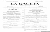 REPUBLICA DE NICARAGUA AMERICA CENTRAL LA GACETA 142-2002.pdf · continuidad, la Oficina Ejecutiva del Comité Nacional de Integridad (Banco Mundial, Crédito No. 3314) y las funciones