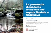 d’espècies - xarxaenxarxa.diba.catxarxaenxarxa.diba.cat/sites/xarxaenxarxa.diba.cat/files/1.aca_.pdf · La presència d’espècies invasores als espais fluvials a Catalunya .