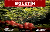 BOLETIN - Promecafepromecafe.net/documents/Boletines/boletin143.pdfen el mes de mayo de 2015 durante el periodo de pre-cosecha; donde determinaron que la producción total de café