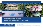 Conectar para Transformar – Chile - BASF€¦ · Conectar para Transformar – Chile nterno .. 2 Desafio Contexto Contribuir para a solução de problemas ambientais capacitando