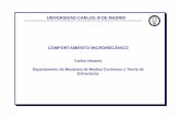 UNIVERSIDAD CARLOS III DE MADRID COMPORTAMIENTO …ocw.uc3m.es/.../elasticidad-y-resistencia-ii/material-de-clase-1/CAPITULO_3.pdfUNIVERSIDAD CARLOS III DE MADRID COMPORTAMIENTO MICROMECÁNICO