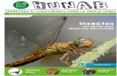 SEMBRANDO EL CONOCIMIENTO SOBRE LA ABUELA TIERRAhunab.info/es/images/descargas/abril2018web.pdf · Dípteros 160 mil especies de moscas, mosquitos y tábanos. Sólo tienen un par