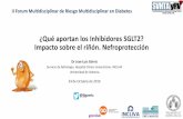 ¿Qué aportan los Inhibidores SGLT2? Impacto sobre el riñón. …svhta.info/web/sites/default/files/3 JL GORRIZ II Forum... · 2019. 10. 25. · ¿Qué aportan los Inhibidores SGLT2?