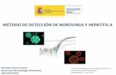 MÉTODO DE DETECCIÓN DE NOROVIRUS Y HEPATITIS Aeurolab.org.es/Newsletter/junio2014/11.M.02.pdf · Majadahonda, 11 junio 2014 Mercedes Álvarez García Servicio de Microbiología