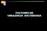 FACTORES DE VIRULENCIA BACTERIANA -  

FACTORES DE VIRULENCIA BACTERIANA . Moléculas que sustentan la invasividad bacteriana Sustancias estructurales, enzimas y mecanismos