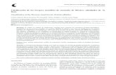 Clasificación de los bosques mesófilos de montaña de ... · 1114 Ruiz-Jiménez et al.- Afinidades de la flora en bosques mesófilos del grupo D y en que el dendrograma creado con