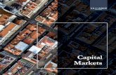 Capital Markets · e inversores privados, promotores, sector público, etc. Estudios de viabilidad y Análisis de Activos. Gestión de Activos Ofrecemos la gestión de activos inmobiliarios.