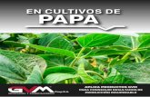 EN CULTIVOS DE PAPAgvm.com.ec/fichas/FT-PAPA.pdf · 2019. 6. 29. · fertilizantes edáficos y foliares para mejorar la asimilación de los fertilizantes. 3 - 5 veces por ciclo. Aplicar