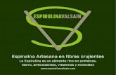 Espirulina Artesana en fibras crujientes · 10 pepinillos finos crujientes 1 rama de apio limón, aceite de oliva, sal y pimienta Cocer las verduras y las patatas por separado, enfriarlas