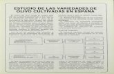 ESTUDIO DE LAS VARIEDADES DE OLIVO CULTIVADAS ......Fig. 1.—Distribución de las variedades de olivo domi-nantes en Andalucía, Extremadura, Ciudad Real, Toledo, Cuenca y Guadalajara.