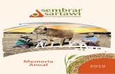 Memoria Anual 2019 - sembrarsartawi.orgMemoria Anual 2019 Sembrar Sartawi IFD Estado Plurinacional de Bolivia. Mensaje de la Presidente de Directorio Logros Institucionales 2019 Órganos