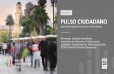 Publicación #28 PULSO CIUDADANO · Pública, ha decidido lanzar Pulso Ciudadano, un estudio de opinión / tracking quincenal. Utiliza una metodología de entrevistas on line por