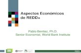 Aspectos Económicos de REDD+...Aspectos Económicos de REDD+ Como en muchos programas, REDD+ implica: - Beneficios Monetarios - Co-Beneficios - Costos - Costos Indirectos REDD+ Beneficios
