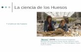 La ciencia de los Huesos - Aragosaurus Anat orient.pdf · Emiliano Aguirre, fundador del Proyecto Atapuerca el día del descubrimiento de los cráneos 5 y 5 de . Homo heidelbergensis