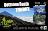 TENERIFE - Ekkeekke.cat/wp-content/uploads/2019/12/TENERIFE-20.pdfEl Volcà TEIDE 3.718 m Ascensió al TEIDE en dos jornades: des de la base de la montaña blanca (2.340m) a fer nit