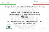 Seminario sobre formación profesional y capacitación en México · Reconocimiento de conocimientos, habilidades, destrezas y ... • ADOBE Dreamweaver CS5. • ADOBE Flash CS5.
