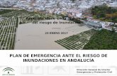 Aspectos clave en la reducción del riesgo de inundación€¦ · inundaciones en andalucÍa nueva normativa: - plan territorial de emergencias de andalucÍa (2011) - programa andaluza