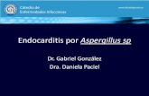 Endocarditis por Aspergillus sp...Endocarditis por Aspergillus sp >entidad infrecuente >2-4% de todos los casos de endocarditis infecciosa. >principalmente en pacientes sometidos a