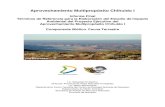 Aprovechamiento Multipropósito Chihuido I€¦ · Departamento Fauna Terrestre del Centro de Ecología Aplicada del Neuquén Subsecretaría de Medio Ambiente Secretaría de Estado