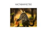 Метафорическая деловая играopkhv.ru/files/files/2017/35fc8a96a1c339372858.pdf · 2017. 11. 13. · В каждый конкретный момент времени