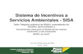 Sistema de Incentivos a Servicios Ambientales - SISAawsassets.panda.org/downloads/m_de_los...servicios_ambientales_a… · Servicios Ambientales - SISA Taller “Mejores prácticas