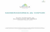 GENERADORES de VAPOR - Uruguay · 2020. 5. 11. · Generadores de Vapor especiales del tipo 2 (E2) son aquellos que utilizan como combustibles licor negro para recuperación de químicos