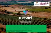 Modesto Mezquita, Coordinador de Innovación · Industria vitivinícola y enoturismo 2. La Agencia de Innovación y Desarrollo Económico de Valladolid 3. Startup school 4. Startups