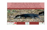 Programa de Acción para la Conservación de la Especie: Pecarí …apps.semabicc.campeche.gob.mx/wp-content/uploads/2020/02/... · 2020. 2. 6. · El estado de Campeche representa