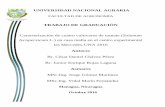 UNIVERSIDAD NACIONAL AGRARIArepositorio.una.edu.ni/3409/1/tnf30ch512c.pdf · MSc.Ing. Vidal Marín Fernández Managua, Nicaragua Octubre 2016 . UNIVERSIDAD NACIONAL AGRARIA FACULTAD