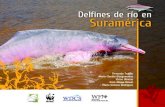 Contenido · Los delfines de río son especies carismáticas y45 de gran importancia bioló-gica y cultural en las cuencas de los ríos Amazonas y Orinoco. Hasta hace relativamente