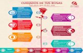 Agriculturers.comagriculturers.com/wp-content/uploads/2018/10/cuidados-rosas.pdf · El fertilizante que Rosas de En Casa, debes disolverlo en el Agua, este oporta a las Rosas Nutrientes