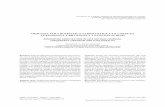 Arquitectura doméstica tardoantigua en Corduba. Topografía ...institucional.us.es/revistas/spal/27.2/10_Manuel.pdf · en Córdoba. En el estado actual de la investigación, y si