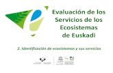 Evaluación de los Servicios de los Ecosistemas de Euskadi€¦ · Dentro de los Ecosistemas urbanos existen diferentes zonas verdes suministradoras de servicios Laguna, ríos y charcas
