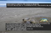 SECRETARÍA DE RECURSOS NATURALES Y AMBIENTE, HONDURASftp.llu.edu/sdunbar/pdf_files/ReporteDeAno_2008_Espanol.pdf · 2018. 3. 6. · La distancia de la orilla del agua a cada nido