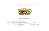 Universidad Autónoma del Estado de México Dirección de ...derecho.uaemex.mx/U2019-A/Derecho/Plan 2015/LDE811GE.pdf · Objetivo: Analizar el concepto, importancia y estructura del