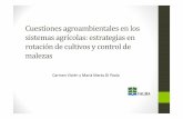 Cuestiones agroambientales en los sistemas agrícolas: … · 2018. 6. 28. · glifosato amenaza la sostenibilidad del herbicida y su contribución a la producción de alimentos.