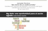 Big data: una oportunidad para el sector agrario Andrés ... · Salud Gestión individual de la alimentación de cada vaca y plan de alimentación(NorFor). 1 millón vacas en DK,