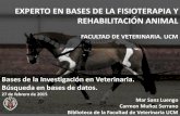EXPERTO EN BASES DE LA FISIOTERAPIA Y REHABILITACIÓN · PDF file “fisioterapia veterinaria" filetype: para buscar un tipo de documento específico "fisioterapia veterinaria" filetype:pdf