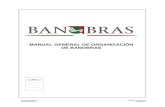 MANUAL GENERAL DE ORGANIZACIÓN DE BANOBRAStransparencia.banobras.gob.mx/wp-content/uploads/2017/10/Manual... · 01 03 2017 Manual General de Organización de Banobras Contenido ...