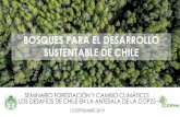 BOSQUES PARA EL DESARROLLO SUSTENTABLE DE CHILELOS DESAFÍOS DE CHILE EN LA ANTESALA DE LA COP25 13 SEPTIEMBRE 2019 BOSQUES PARA EL DESARROLLO SUSTENTABLE DE CHILE. 24% territorio