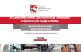 El Colegio de Ingenieros Civiles de México y la Inspección ...cicm.org.mx/wp-content/files_mf/2020_09_21_diálogoconingenieros2… · 1. Ticket No. Este número de Pcket o folio