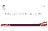Evolución productiva de nogales en Chileexponut.cl/assets/exponut2018_v_bianchini.pdf · Evolución estimada de la producción chilena de nueces en kilos. 2010 Se planta principalmente