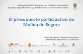 El presupuesto participativo de Molina de Segura · • Creación, a partir del PsPs, de grupos de trabajo en cada zona Travesía 5.0: Visitas intra e inter zona para detectar necesidades.