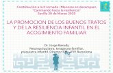 Los diferentes tipos de parentalidad · 2019. 3. 27. · Contribución a la II Jornada : Menores en desamparo “Caminando hacia la resiliencia” Sevilla 20 de Marzo 2019 LA PROMOCION