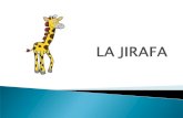 LA JIRAFA - WordPress.com€¦ · la jirafa resfriada: ... manchas marrones bastante grandes are .rtlrn . las jirafas nacen de la tripa de su mamÁ . al nacer se alimentan del pecho