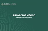 Presentación de PowerPoint - gob.mx · 2020. 1. 17. · BANCO NAC'ONAL DE OBAAS HACIENDA SECRETARíA DE HACIENDA Y CRÉDITO PÚBLICO BAèœBRAS BANCO NACIONAL DE OBRAS Y SERVICIOS